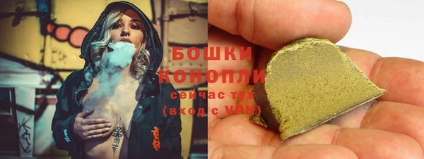 ГАЛЛЮЦИНОГЕННЫЕ ГРИБЫ Вяземский