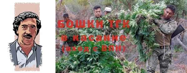 ГАЛЛЮЦИНОГЕННЫЕ ГРИБЫ Вяземский