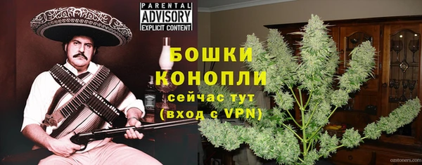 ГАЛЛЮЦИНОГЕННЫЕ ГРИБЫ Вяземский