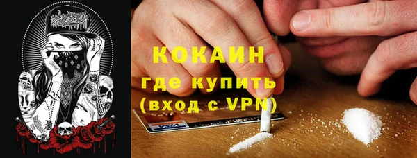a pvp Горняк