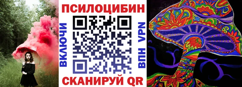Купить закладки  Зеленокумск  Псилоцибиновые грибы Cubensis 